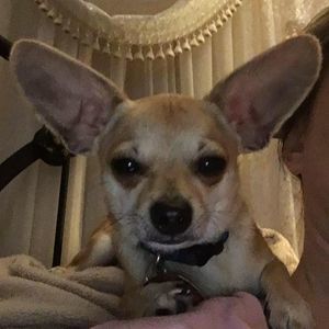 Meet your Posher, Tammy